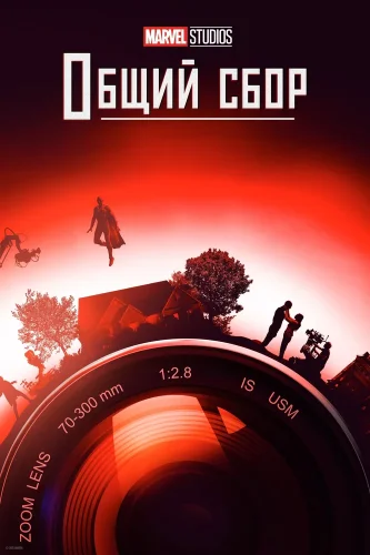 Marvel Studios: Общий сбор (2021) смотреть онлайн