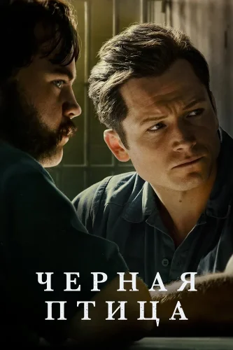 Чёрная птица (2022) смотреть онлайн